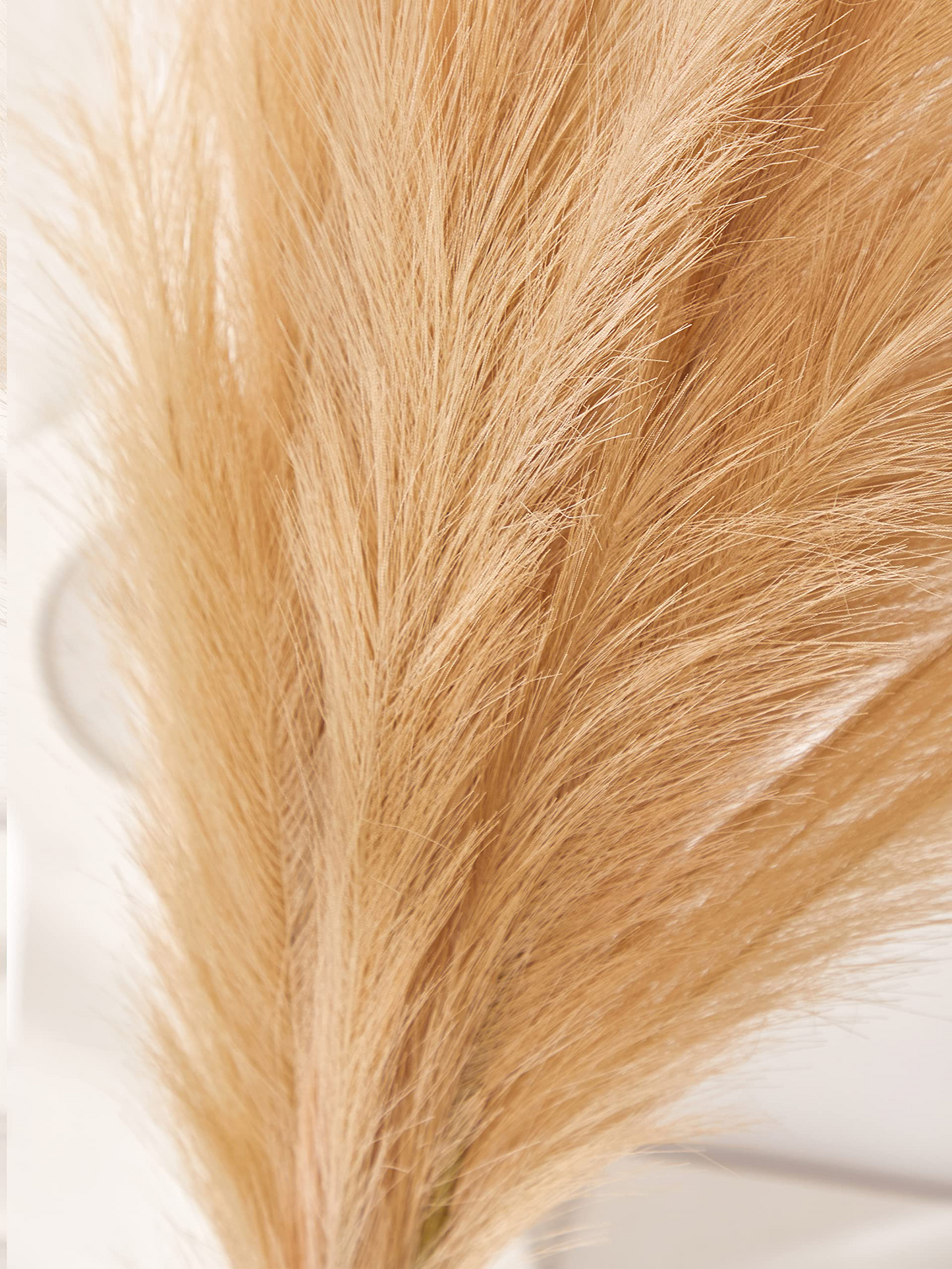 Large Faux Pampas Grass, 3 Pcs, 43'', Taupe Sand